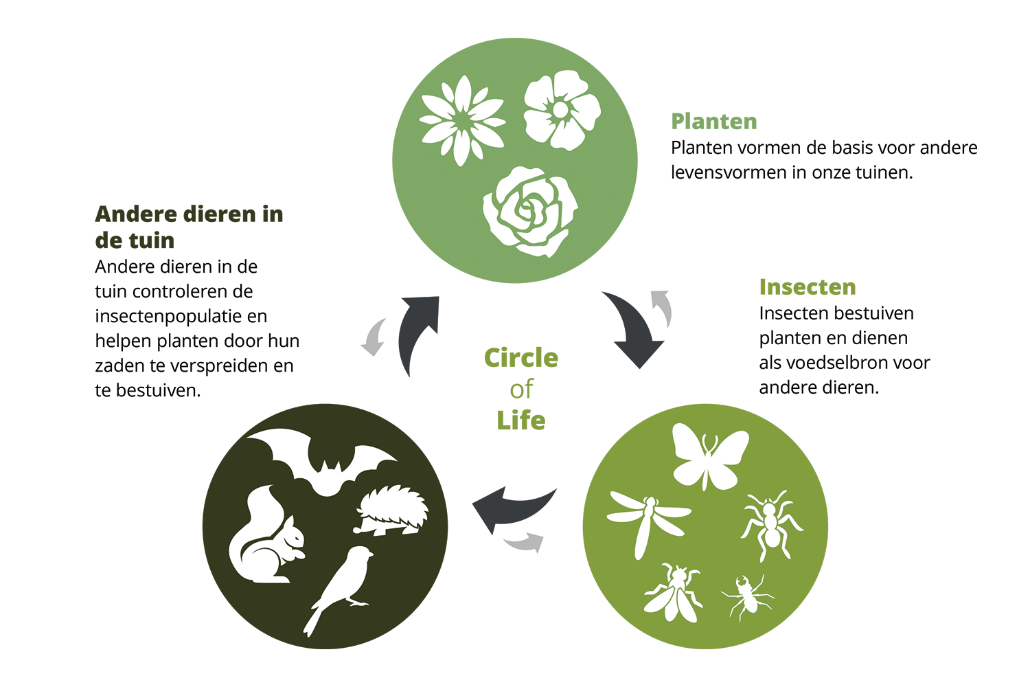 The circle of life - infographic