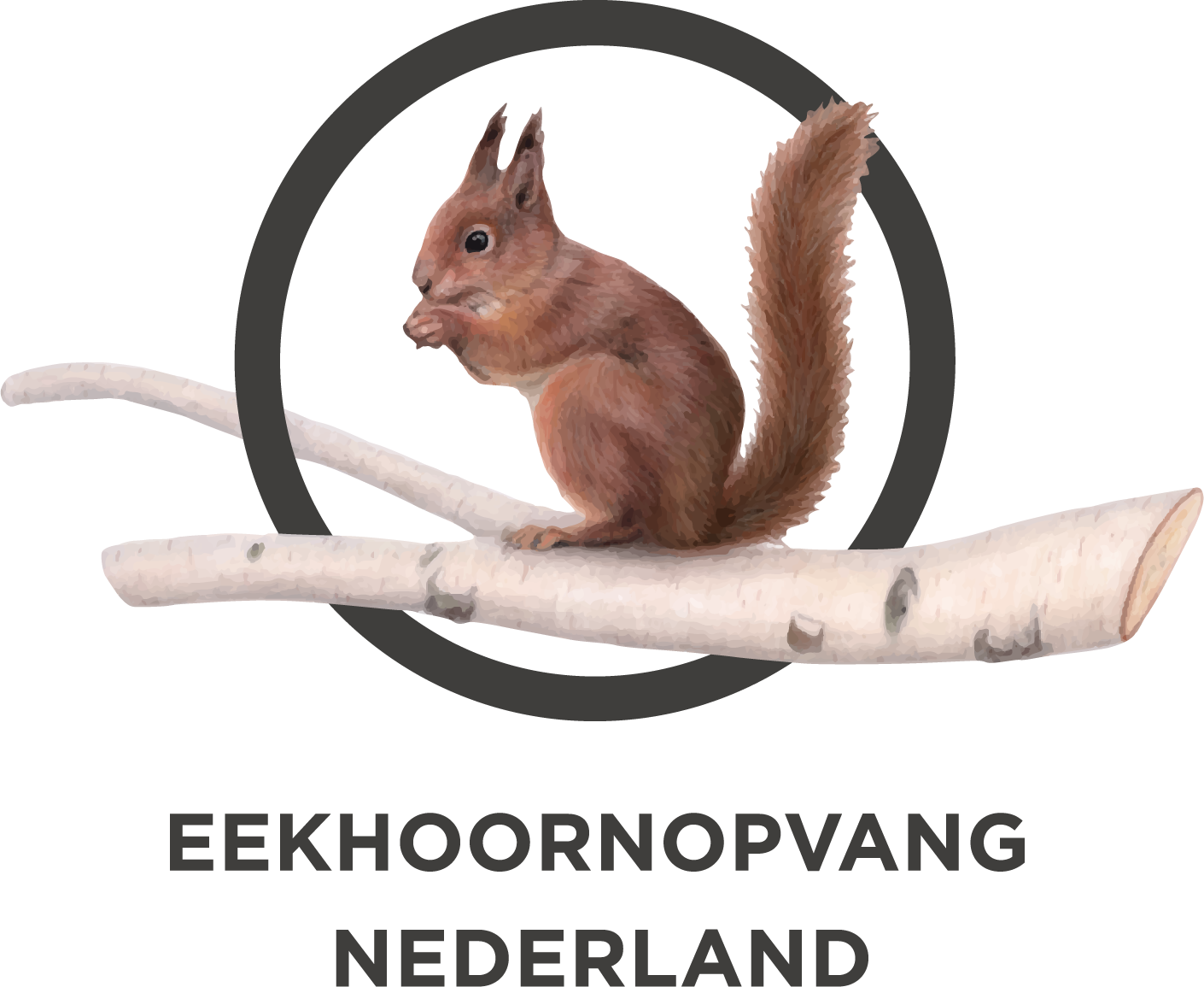 Logo Eekhoornopvang Nederland